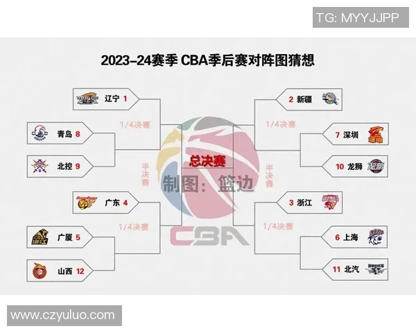 2013年CBA季后赛深圳队对阵广东队的精彩对决回顾与分析