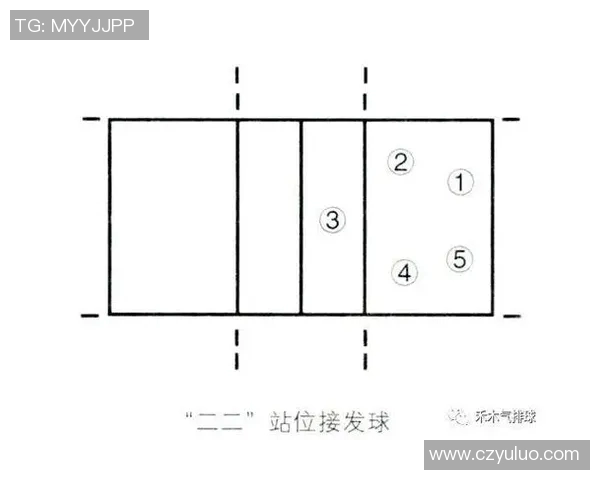 排球新手必看:从零基础到实力提升的全面入门攻略