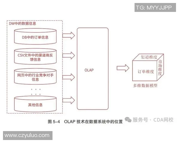 数据分析探讨WE灵活性表现及其对业务发展的影响