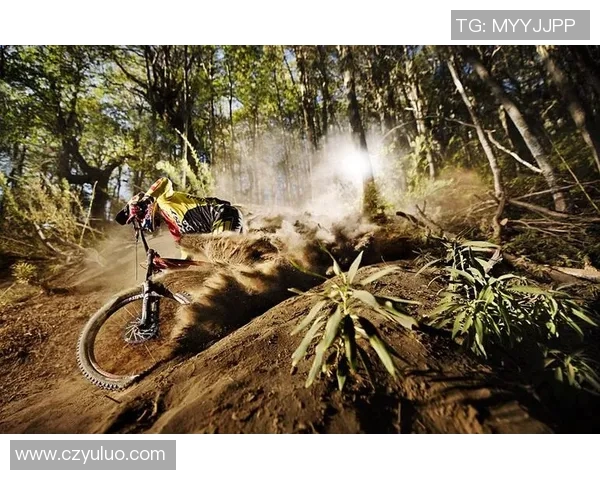 深圳极限运动队与上海极限运动队赛后状态全面分析与复盘