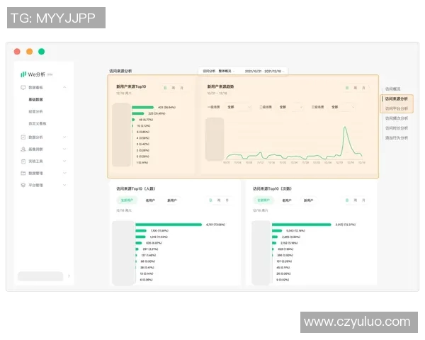 数据分析探讨WE灵活性表现及其对业务发展的影响