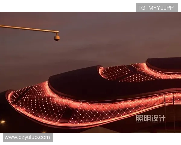 广州极限运动队心理素质研究：挑战极限背后的心灵力量与团队协作